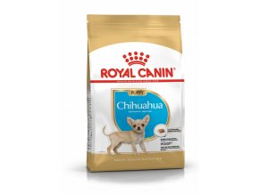 pu chihuahua packshot bhn18