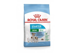 royal canin mini starter puppy