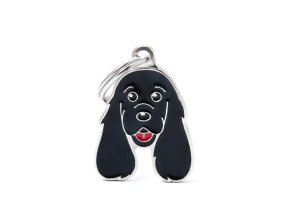 BLACK ENGLISH COCKER