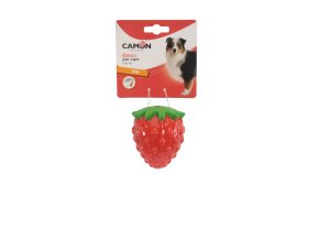 JAHODA TPR NA PAMLSKY 9 cm CAMON