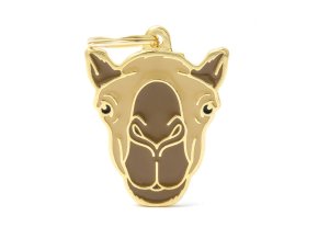 WILD CAMEL