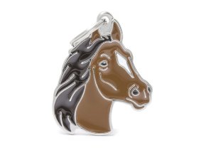 WILD BROWN HORSE