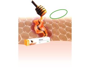 VET02106 1396613154