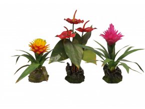 Lucky Reptile Jungle Plants kvetoucí Bromélie Guzmania - červená, cca 35 cm