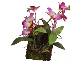 Lucky Reptile Jungle Plants kvetoucí Závěsná orchidej - purpurová cca 20x30 cm