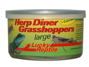 Lucky Reptile Herp Diner - sarančata 35g cca 20 velkých