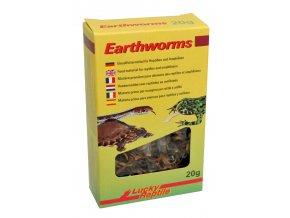 Lucky Reptile Earthworms 10g