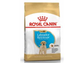 royal canin breed labrador junior