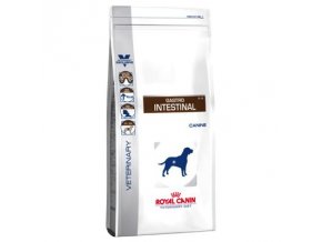 52555 PLA Royal Canin Gastro Intestinal 5 5