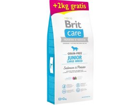 Brit Care Grain Free Dog Junior Large Breed Salmon & Potato 12 kg + 2 kg zdarma
