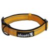 Alcott reflexní obojek pro psy, Adventure, oranžový, velikost M