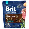 Brit Premium by Nature Dog Sensitive Lamb 1 kg