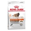 224396 pla royalcanin specialclub energytrail 4300 15kg hs 01 1