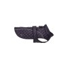 huskym502 1 modra