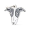 WHIPPET
