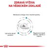 ZB009313 001 1634915376