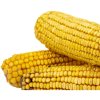 ZB013024 002 1629925157