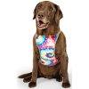 Chladicí vesta Canada Pooch 22 tie dye