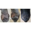 ZB022528 001 1743516713