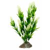 Trávy Lucky Reptile Borneo Grass, bílé květy cca 40 cm