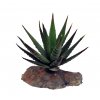 Lucky Reptile-Sukulenty Tiger Aloe, cca 8 cm