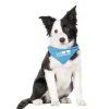 Satek pro psy Surfdog 40 65cm 25mm 1105201714492983075