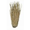 Lucky Reptile Grass Bushes 25-40 cm