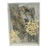 Lucky Reptile Deco Set Desert