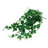 Lucky Reptile Jungle Plants Ivy Bush cca 50 cm