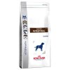 52555 PLA Royal Canin Gastro Intestinal 5 5