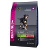 eukanuba adult salmon 2 5kg original