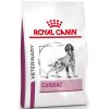 Royal Canin VD Dog Dry Cardiac EC26 14 kg