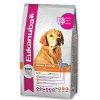 Eukanuba Dog Breed Nutrition Golden Retriever 12 kg