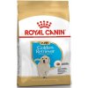 Royal Canin BREED Zlatý Retriever Puppy 12 kg