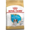 Royal Canin BREED Kavalír King Charles Puppy 1,5 kg