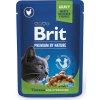 Brit premium Cat kaps. Chicken for Sterilized 100g