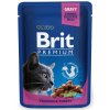 Brit Premium Cat kaps. -Gravy Chicken & Turkey 100 g