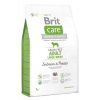 Brit Care Grain Free Dog Adult Large Breed S & P 3 kg
