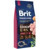 Brit Premium by Nature Dog Junior L 15 kg