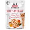 Brit Care Cat kaps. Fillets in Gravy with Tender Turkey & Savory Salmon 85 g