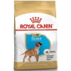 Royal Canin BREED Boxer Puppy 12 kg