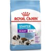 Royal Canin - Canine Giant Starter M&B 15 kg