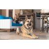 PetSafe® Elektronický obojek SMART DOG Trainer