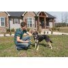 PetSafe® Elektronický obojek SMART DOG Trainer