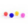 BZ CAT FUN BALLS BAG 4PC 2302202110330594511
