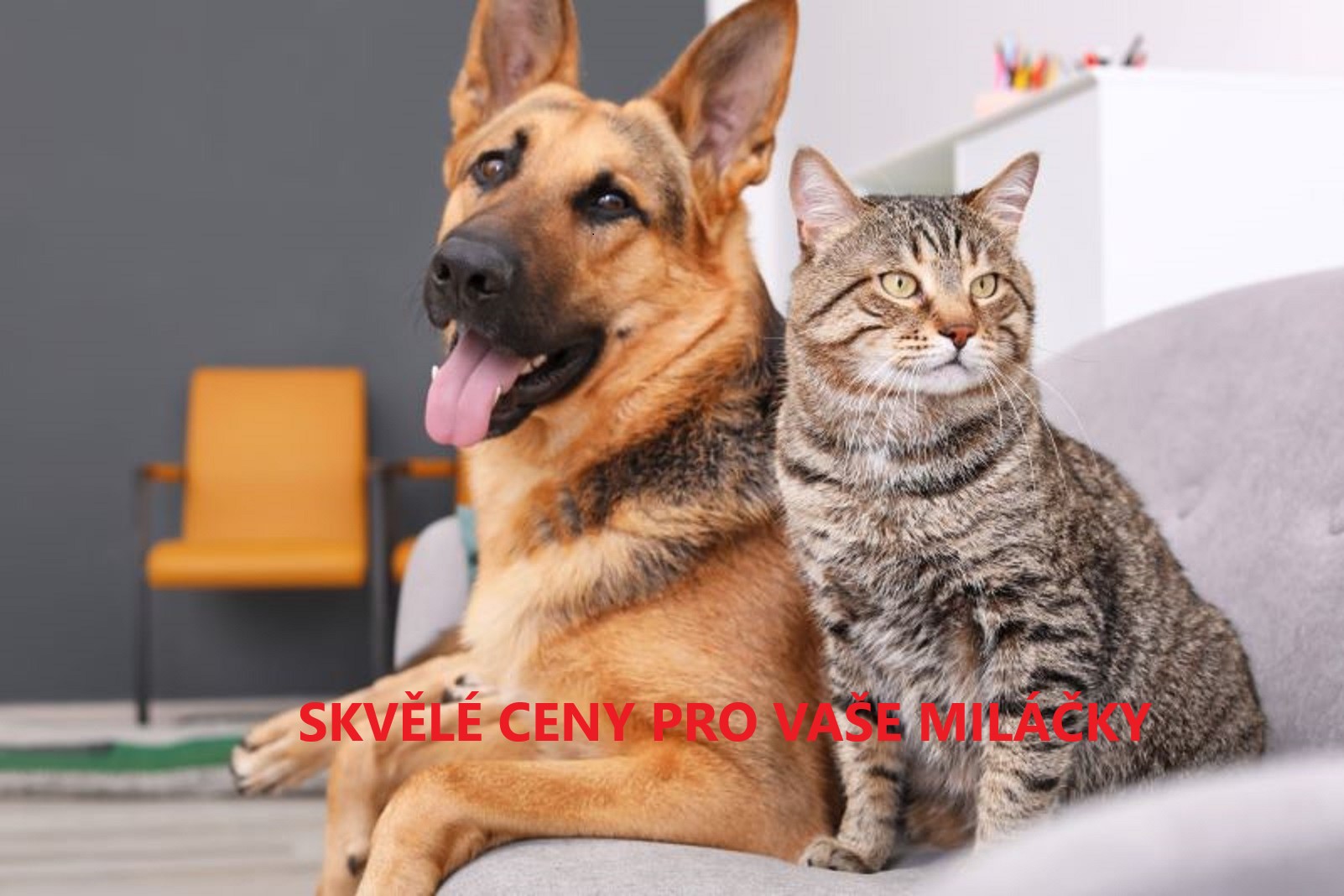 skvělé ceny