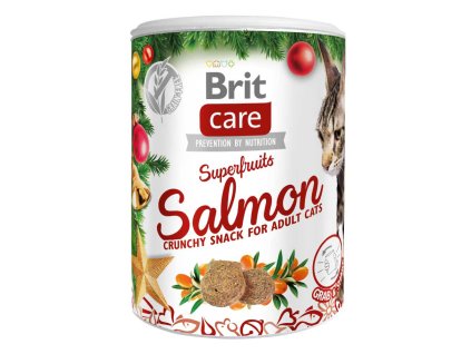 207211 1 brit care cat christmas superfruits 100g