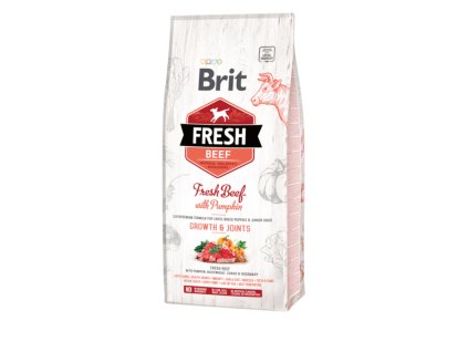 Brit Fresh Beef with Pumpkin Puppy Large