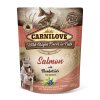 208294 1 carnilove dog pouch pate salmon with blueberries for puppies 300g