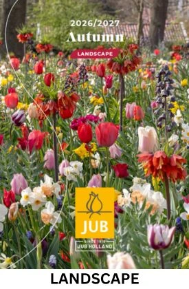 balení pro výsadby 2026